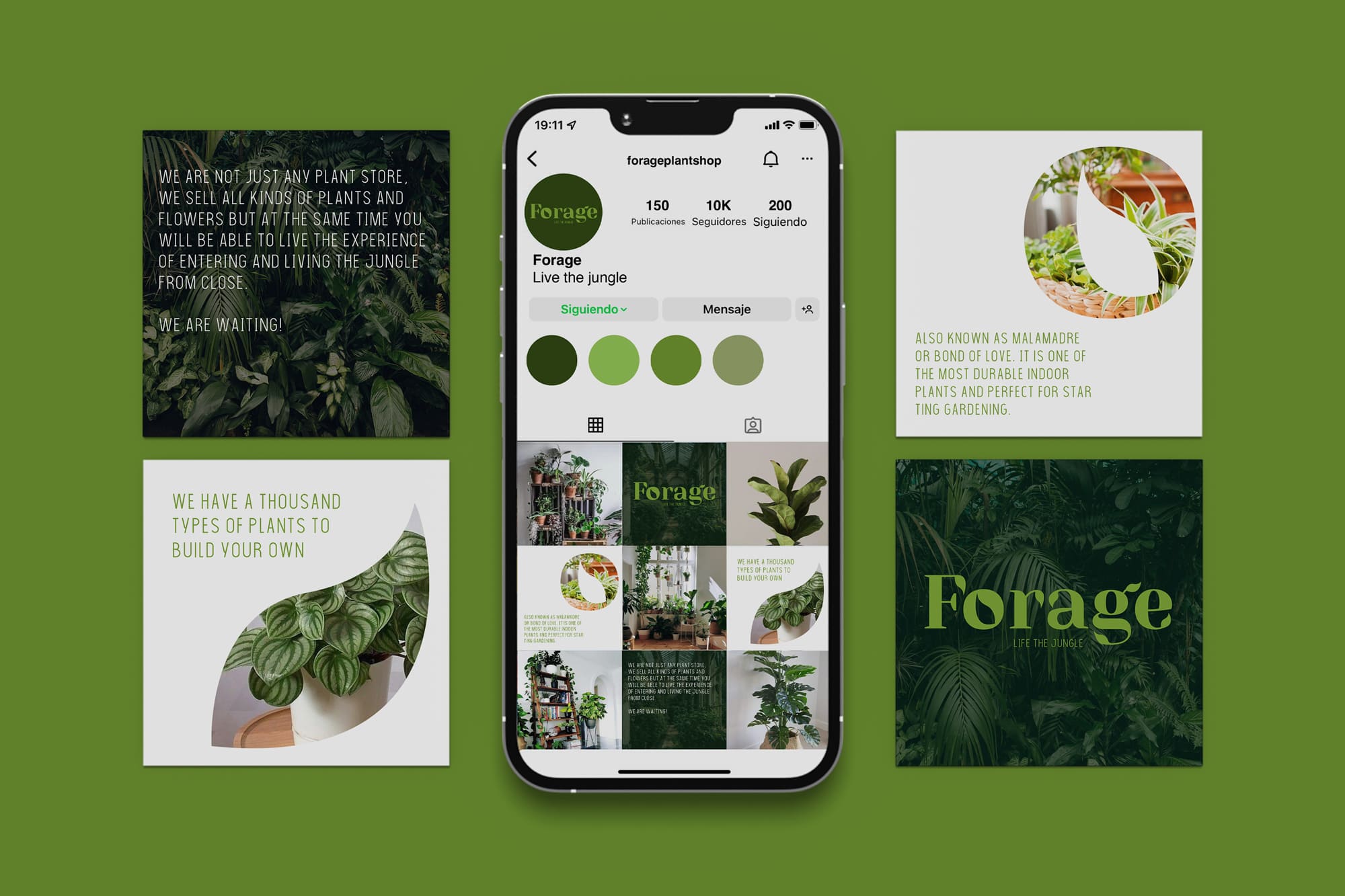 Proyecto Forage - diseño de branding + diseño gráfico