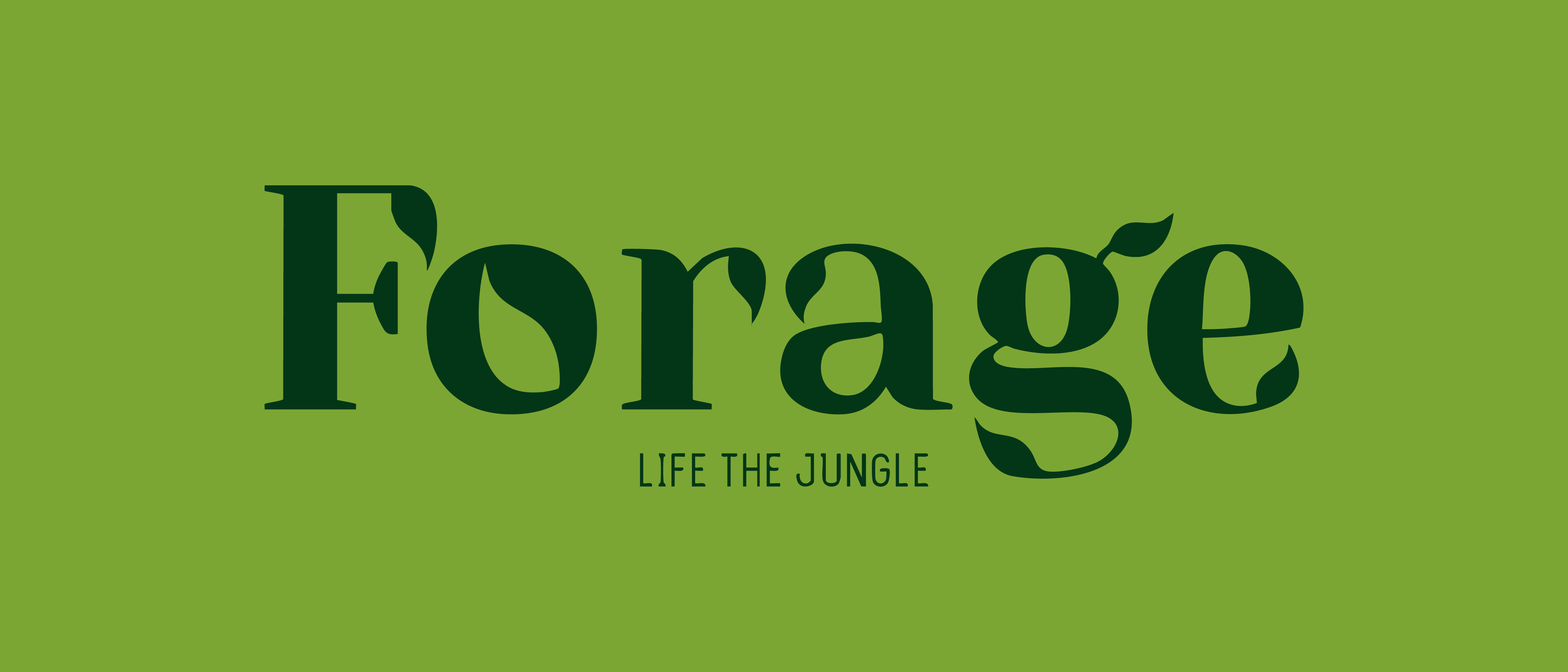 Proyecto Forage - diseño de branding + diseño gráfico