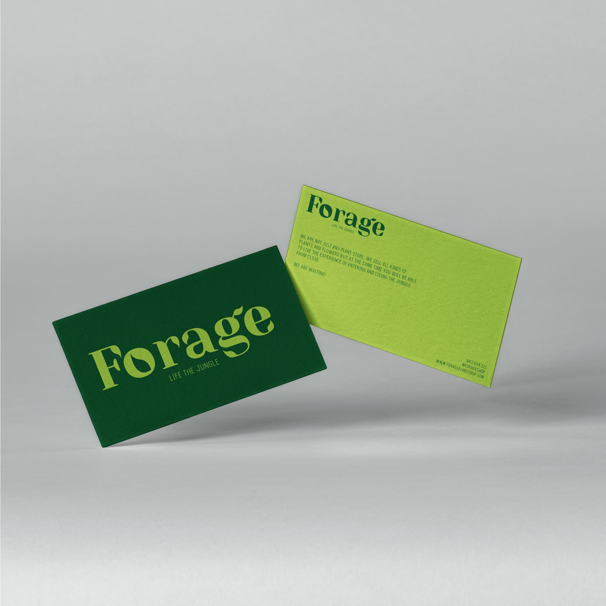 Proyecto Forage - diseño de branding + diseño gráfico