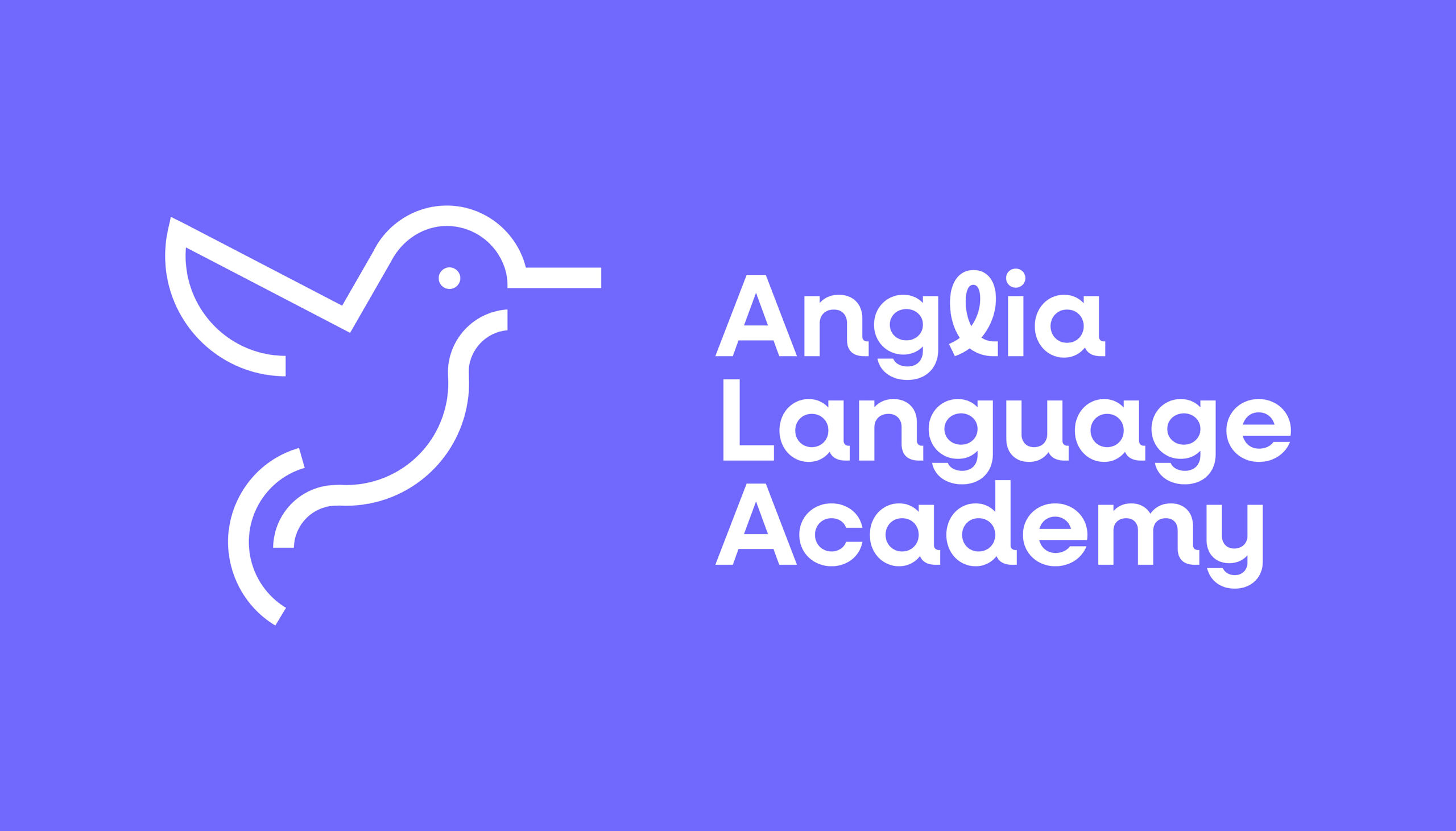 AngliaLanguageAcademy_CrazyLionEstudio