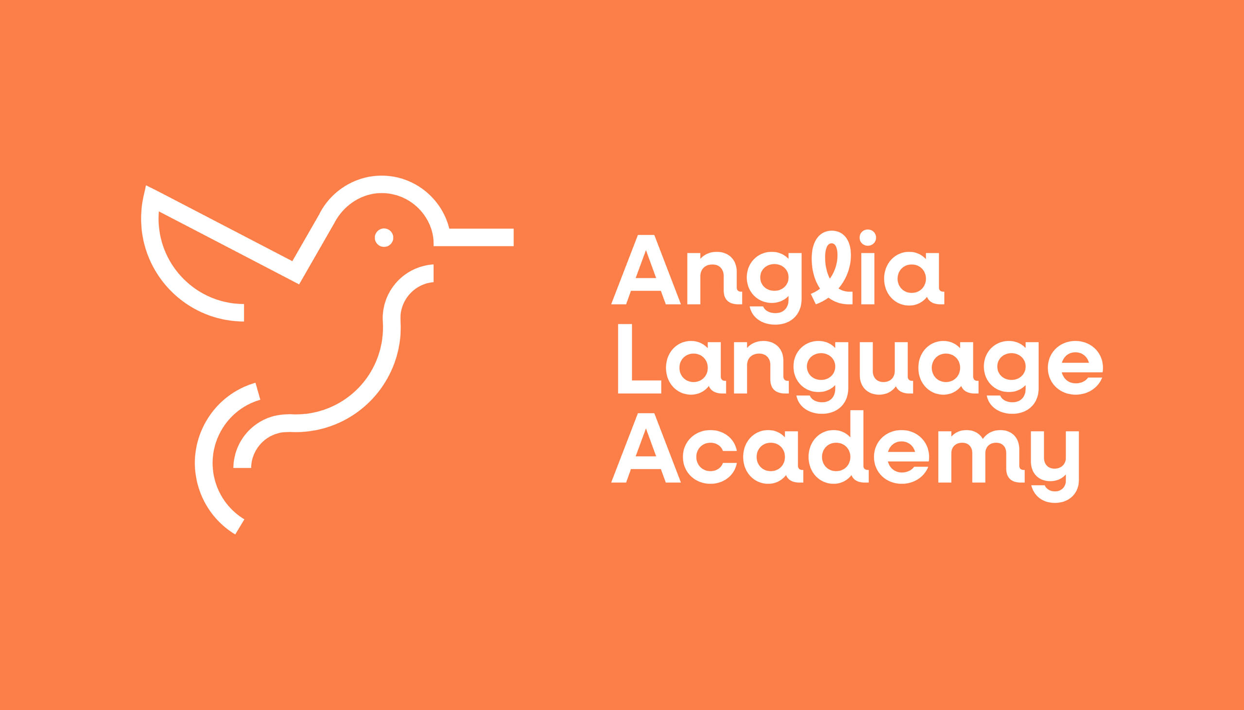 AngliaLanguageAcademy_CrazyLionEstudio