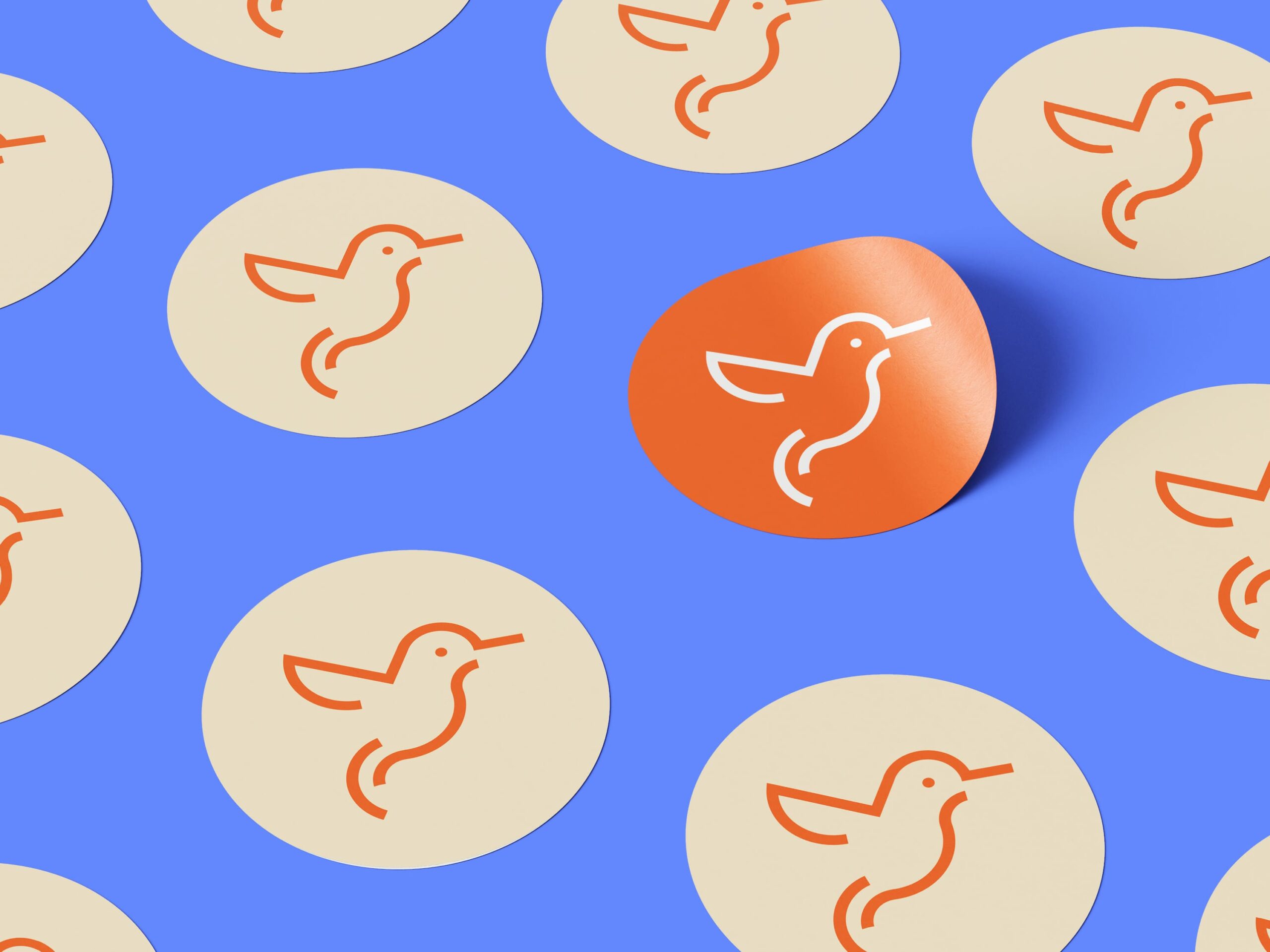 AngliaLanguageAcademy_CrazyLionEstudio