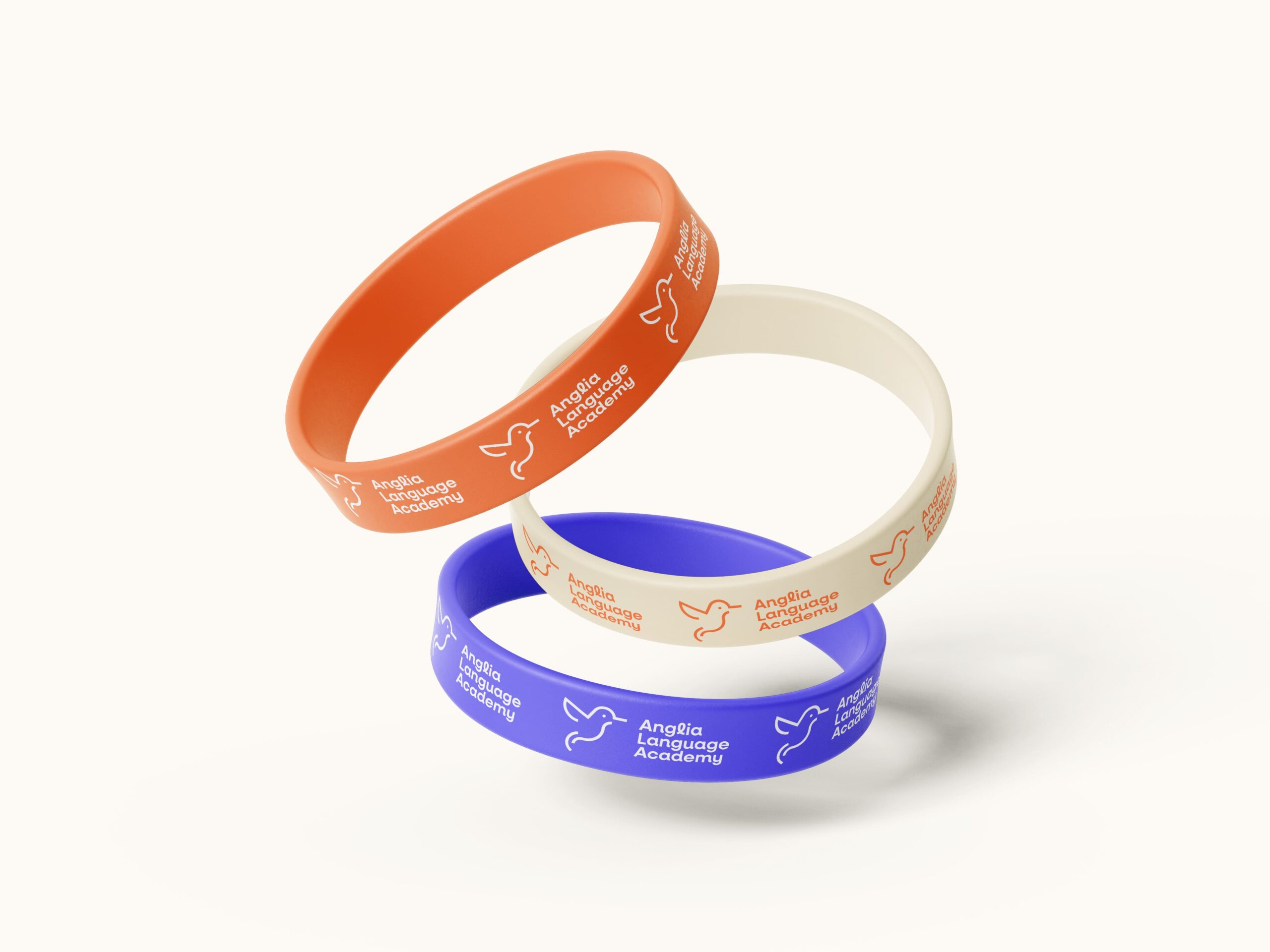 AngliaLanguageAcademy_CrazyLionEstudio