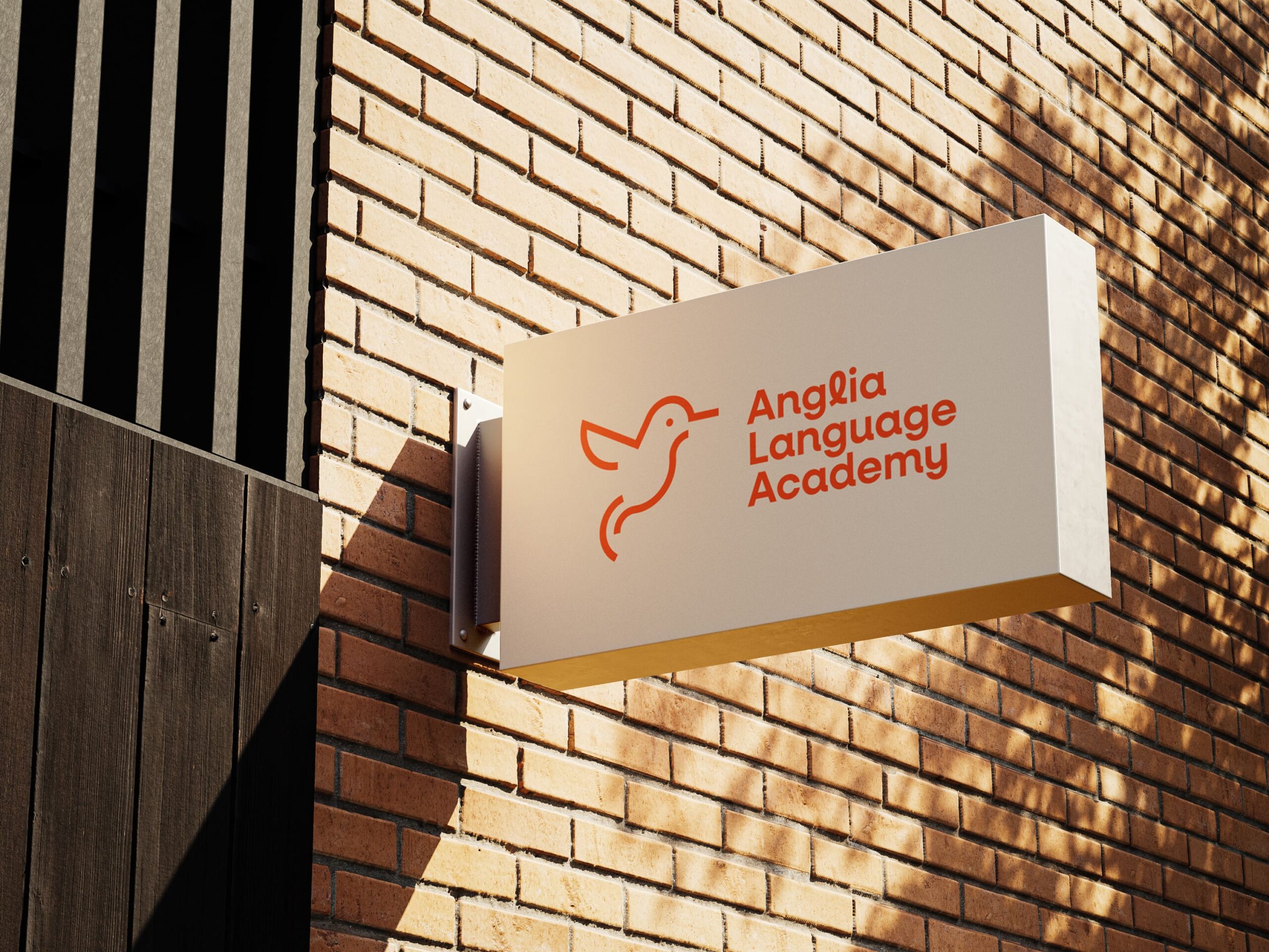 AngliaLanguageAcademy_CrazyLionEstudio
