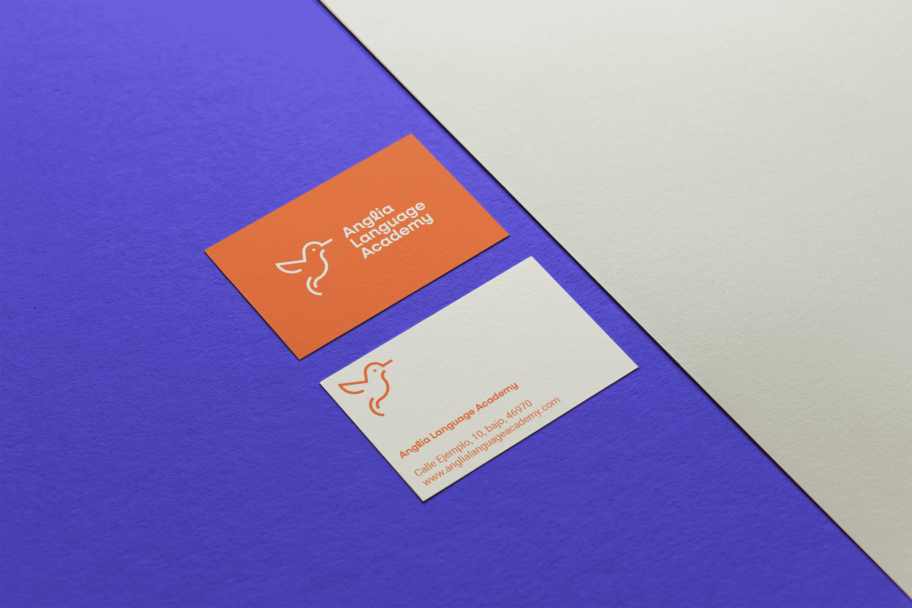 AngliaLanguageAcademy_CrazyLionEstudio