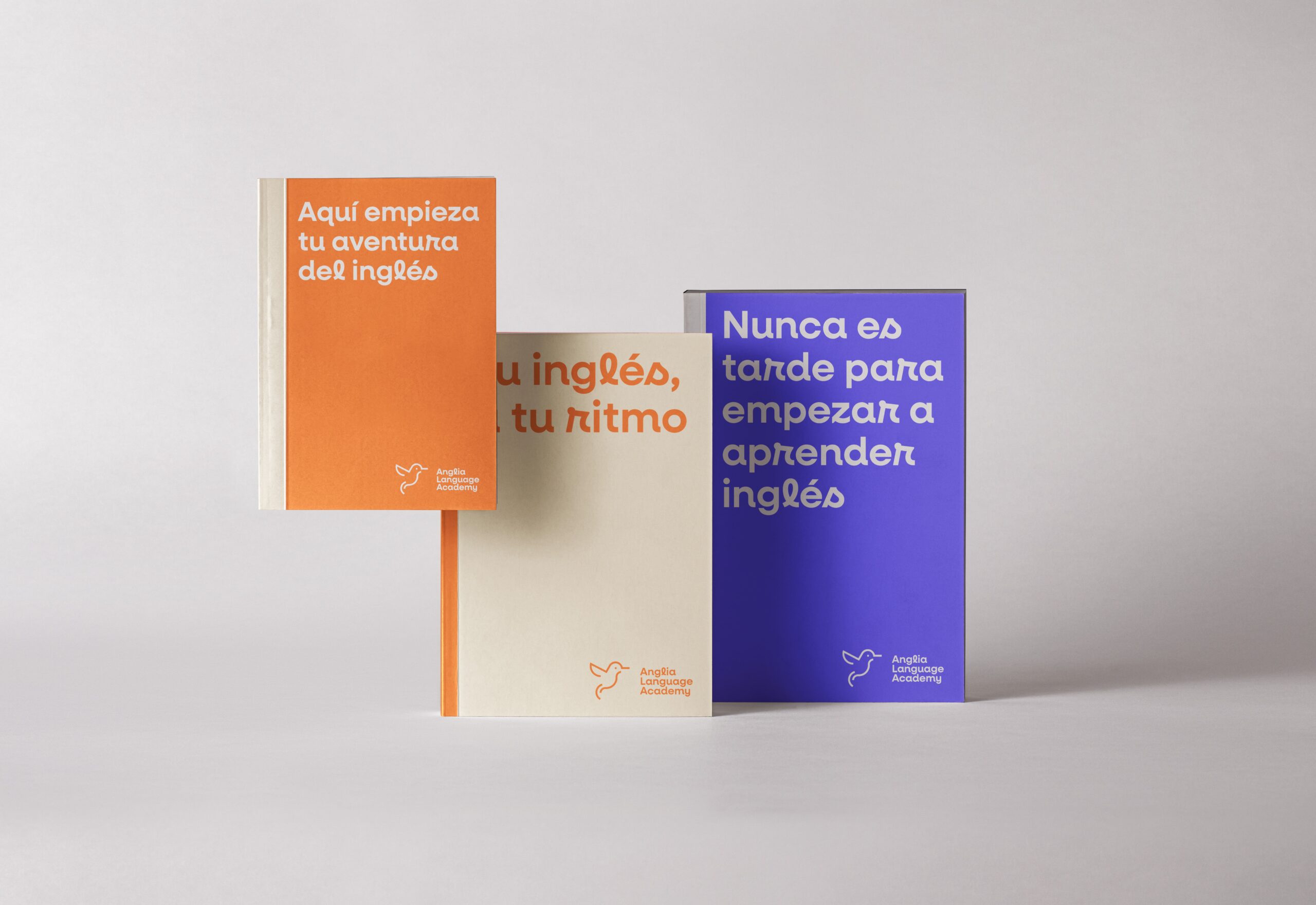 AngliaLanguageAcademy_CrazyLionEstudio